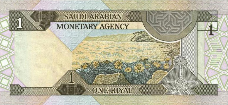 Back of Saudi Arabia p21d: 1 Riyal from 1984