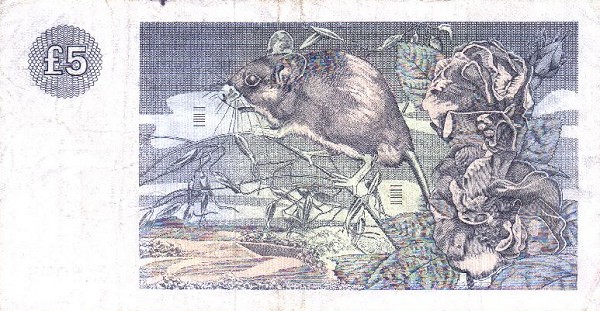 Back of Scotland p212b: 5 Pounds from 1983