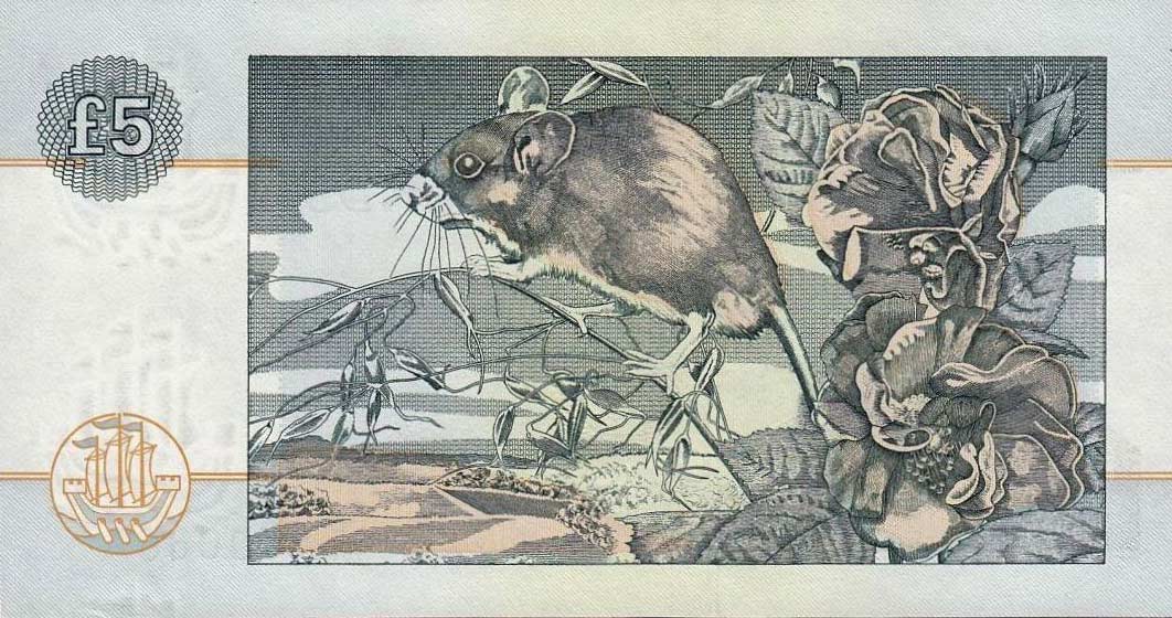 Back of Scotland p218c: 5 Pounds from 1996