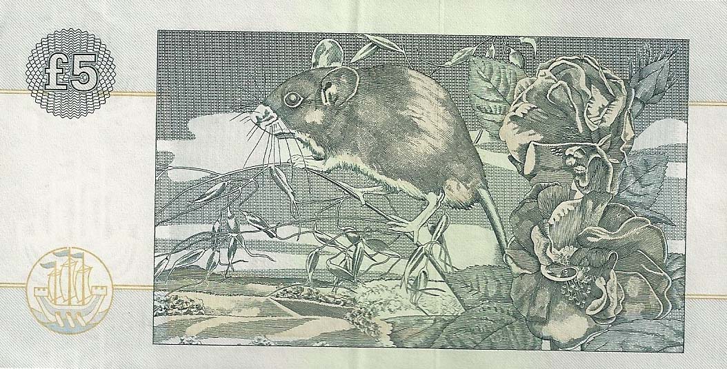 Back of Scotland p218d: 5 Pounds from 2002