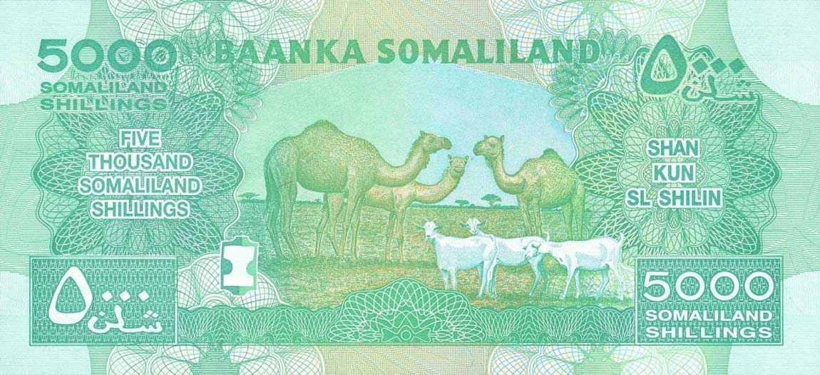 Back of Somaliland p21b: 5000 Shillings from 2012
