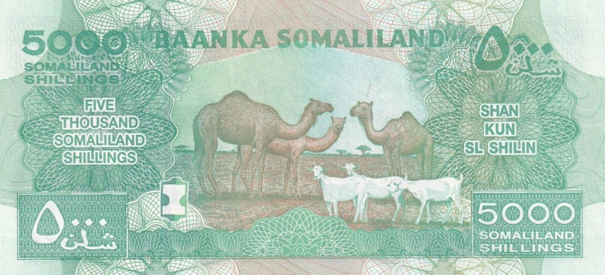 Back of Somaliland p21d: 5000 Shillings from 2016