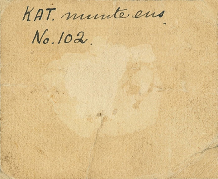 Back of South Africa p34: 1 Shilling from 1868