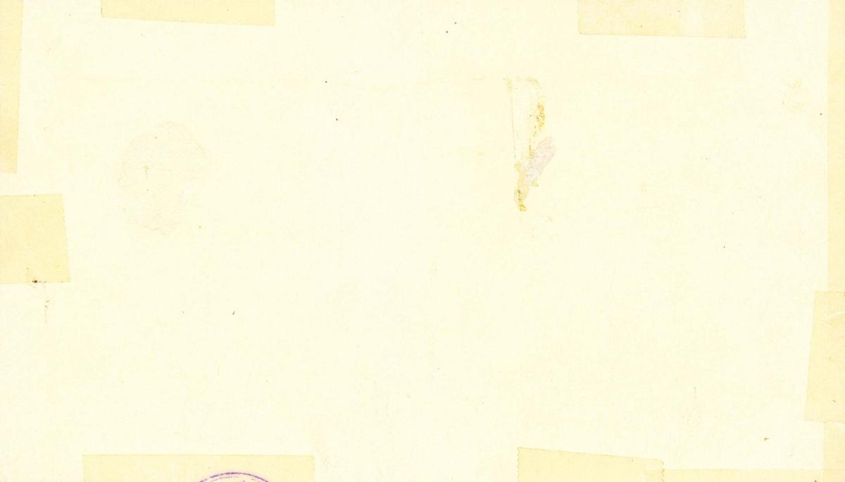 Back of South Africa pS261: 5 Pounds from 1881