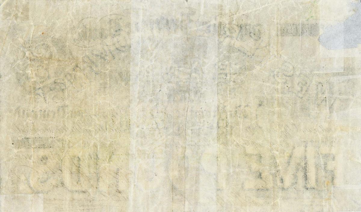 Back of South Africa pS296: 5 Pounds from 1880