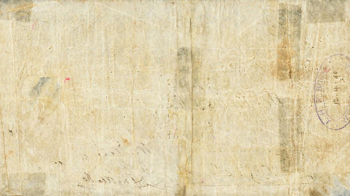 Back of South Africa pS301: 5 Pounds from 1860