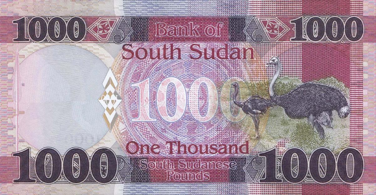 Back of South Sudan p17b: 1000 Pounds from 2021