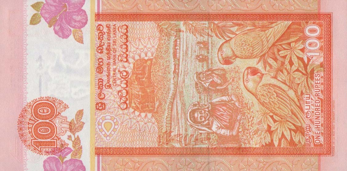 Back of Sri Lanka p111b: 100 Rupees from 2001