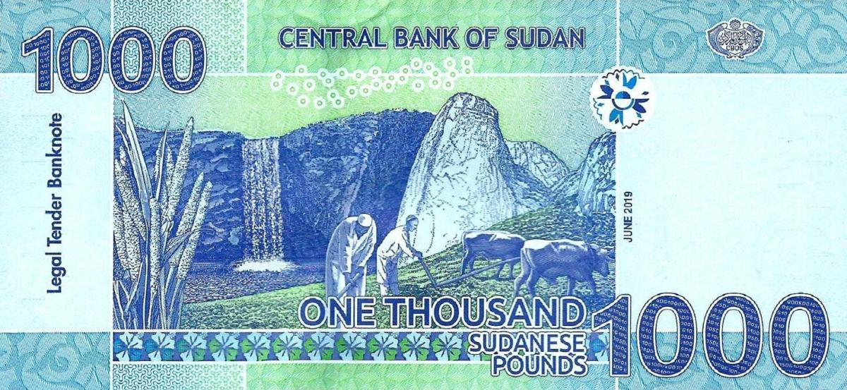 Back of Sudan p81a: 1000 Pounds from 2019