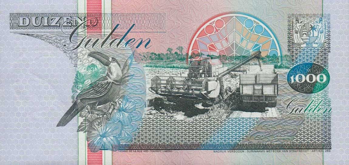 Back of Suriname p141a: 1000 Gulden from 1993