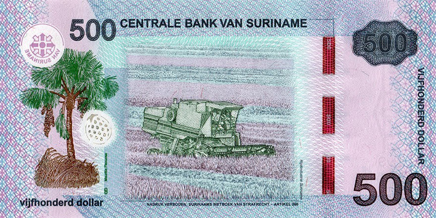 Back of Suriname p166Ba: 500 Dollars from 2024