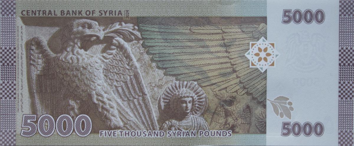 Back of Syria p118d: 5000 Pounds from 2024