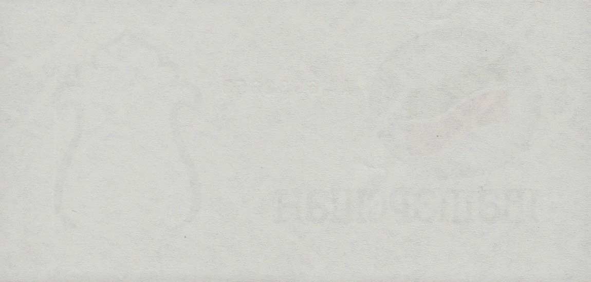 Back of Tatarstan p5c: 100 Rubles from 1991
