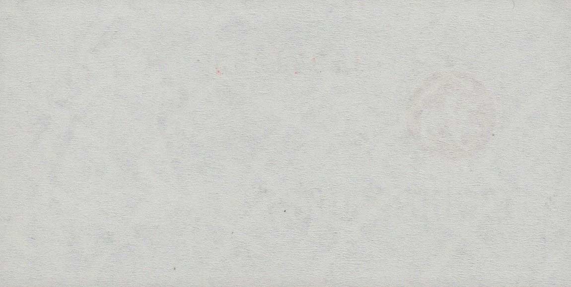 Back of Tatarstan p6c: 100 Rubles from 1993