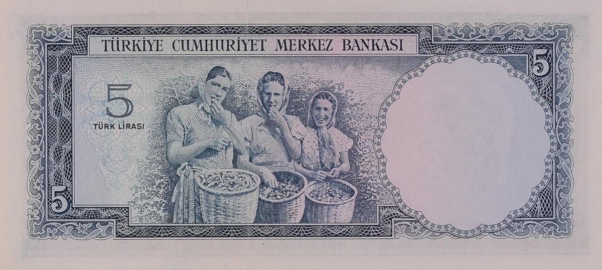 Back of Turkey p173a: 5 Lira from 1961