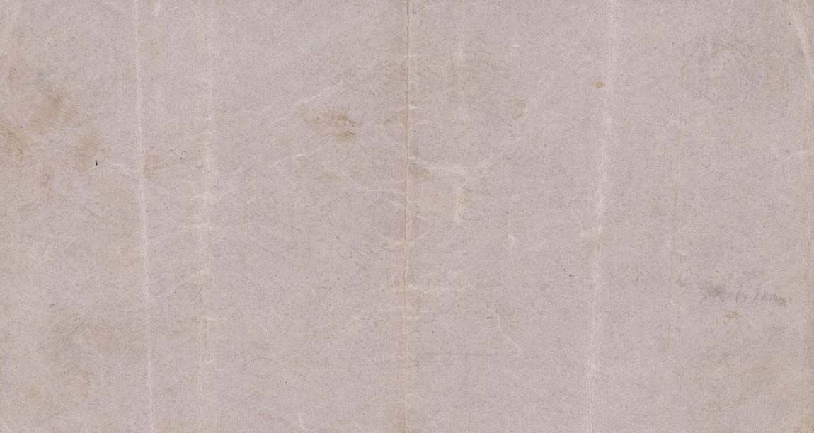 Back of Turkey p89: 0.5 Livre from 1916