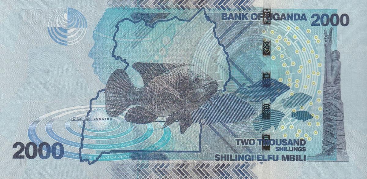 Back of Uganda p50g: 2000 Shillings from 2022