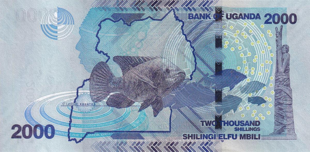 Back of Uganda p50h: 2000 Shillings from 2024