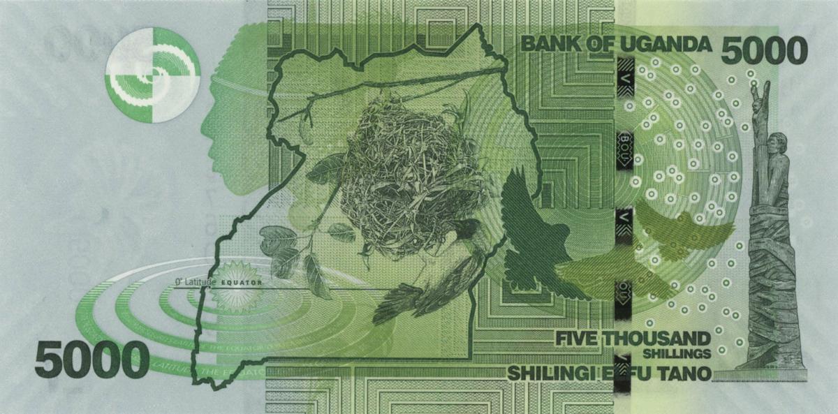 Back of Uganda p51i: 5000 Shillings from 2024