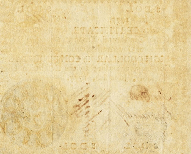 Back of United States pS800: 7 Dollars from 1777