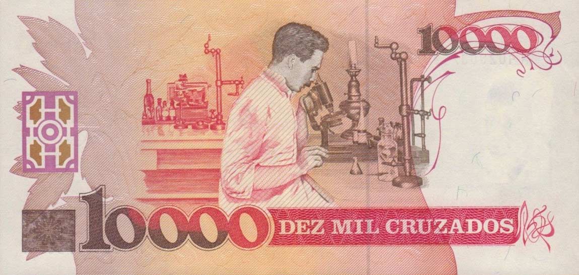 Back of Brazil p218a: 10 Cruzados Novos from 1989