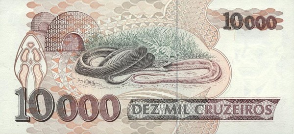Back of Brazil p233b: 10000 Cruzeiros from 1992