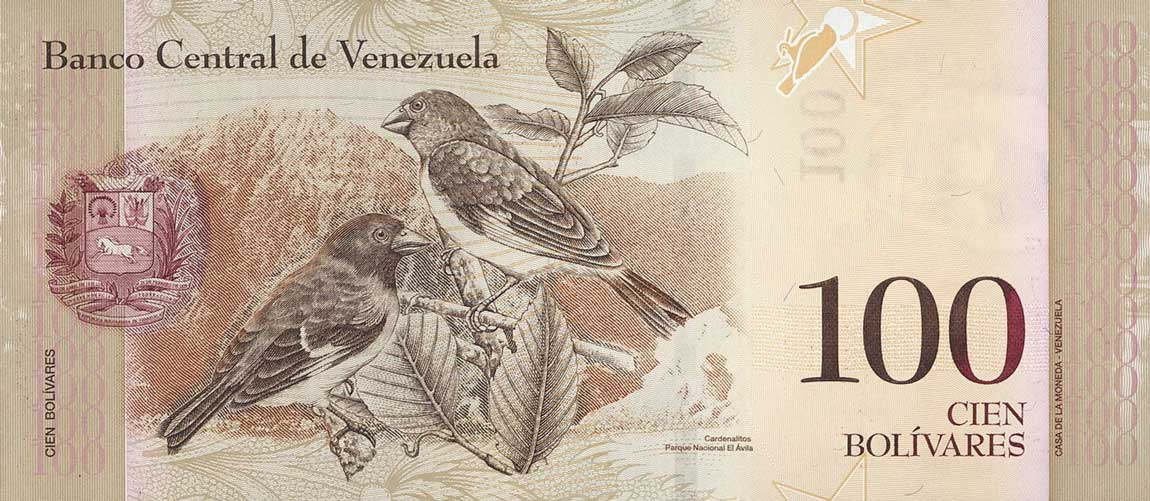 Back of Venezuela p93c: 100 Bolivares from 2009