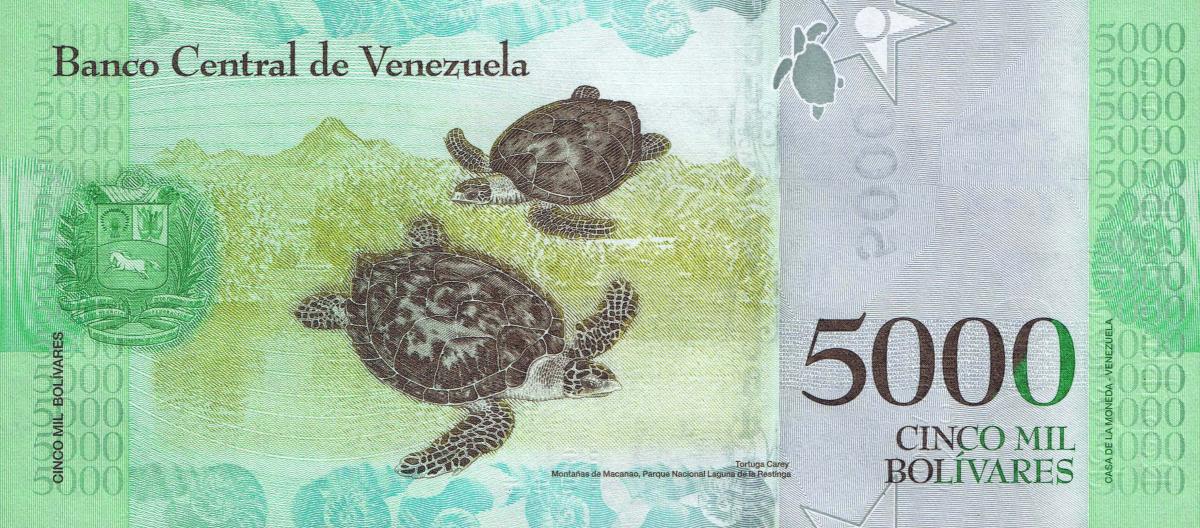 Back of Venezuela p97a: 5000 Bolivares from 2016