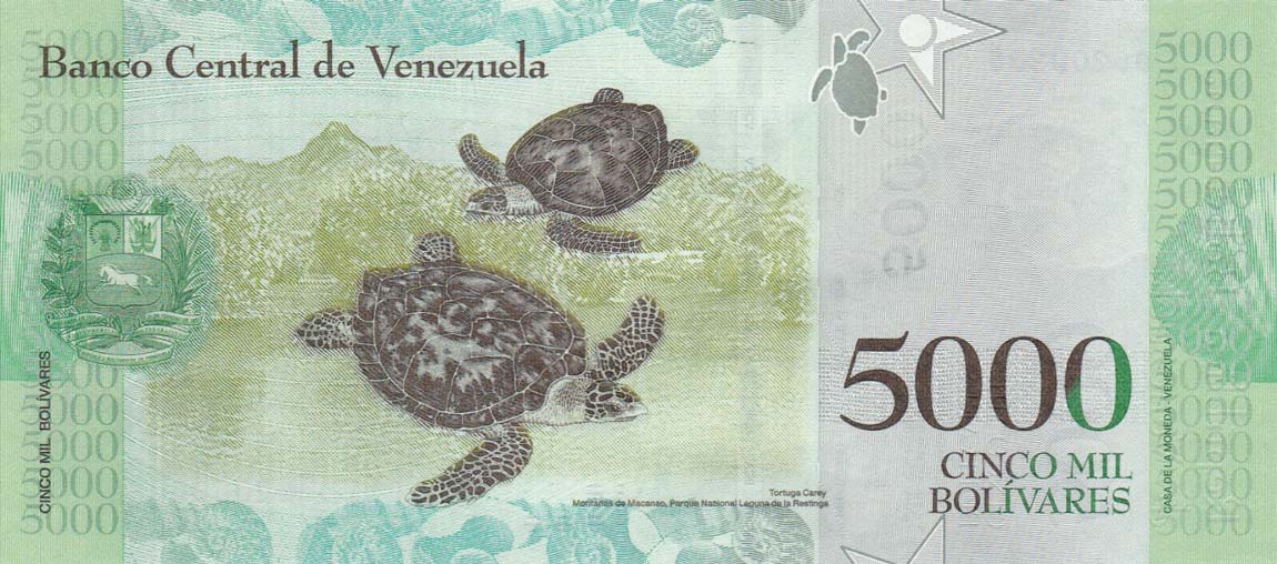 Back of Venezuela p97c: 5000 Bolivares from 2017