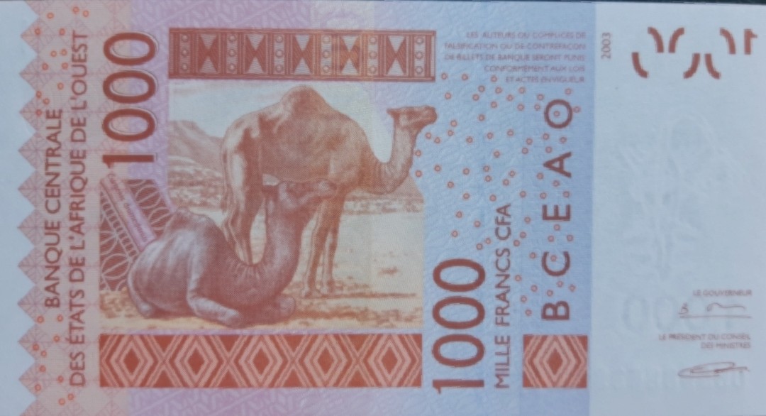 Back of West African States p615Hc: 1000 Francs from 2006