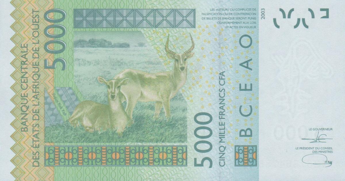 Back of West African States p117Au: 5000 Francs from 2021