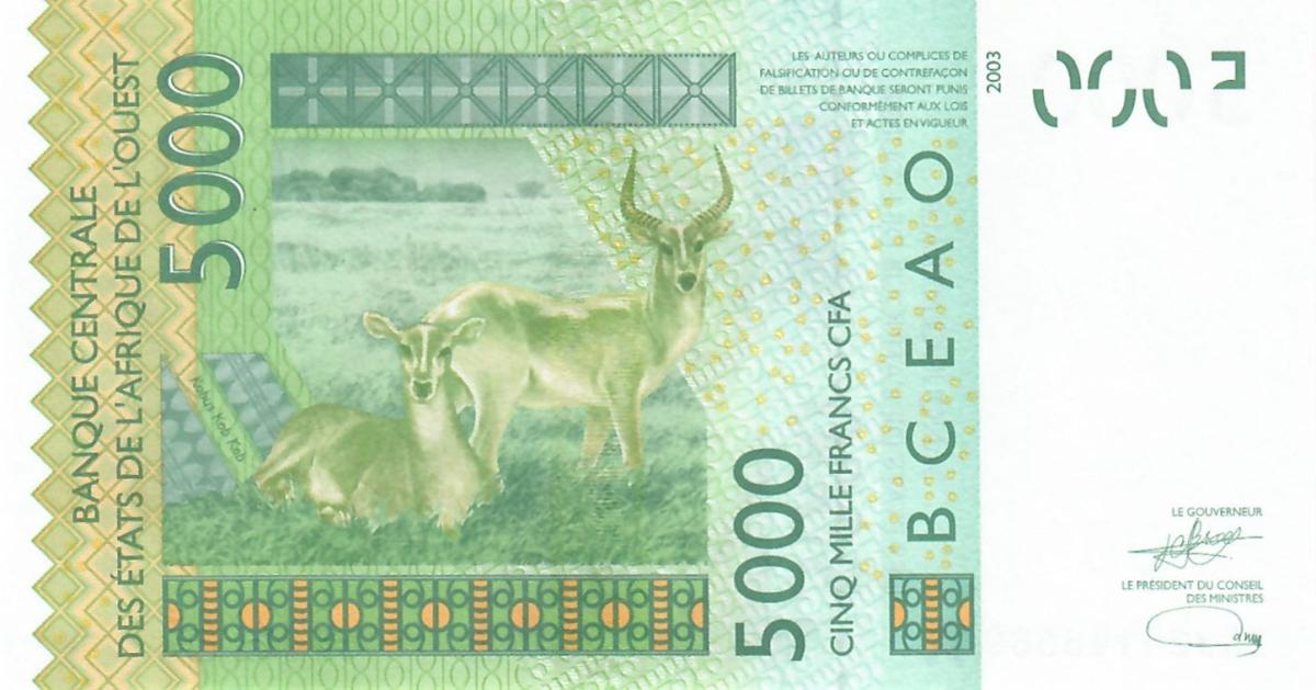 Back of West African States p117Aw: 5000 Francs from 2023