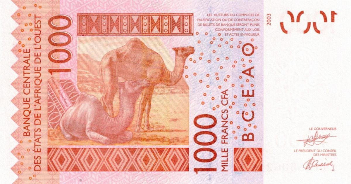 Back of West African States p315Cy: 1000 Francs from 2025