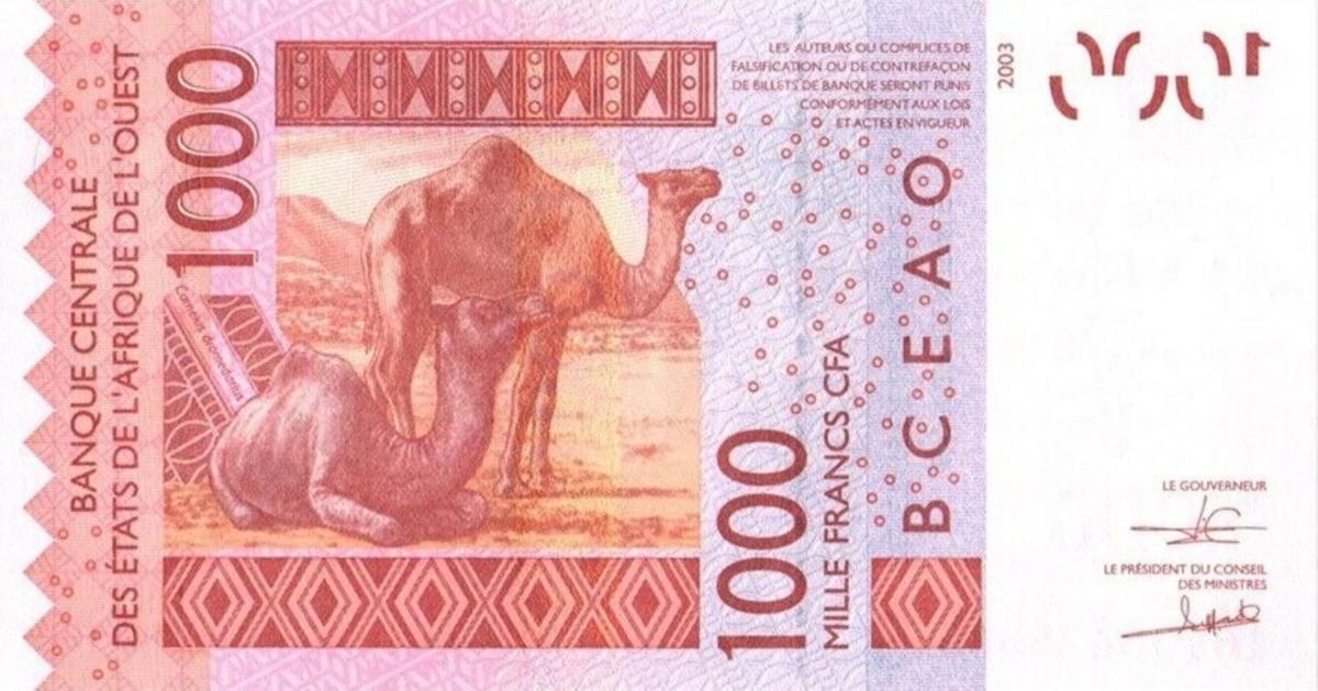Back of West African States p915Sr: 1000 Francs from 2018