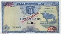 Gallery image for Zambia p3s: 5 Pounds