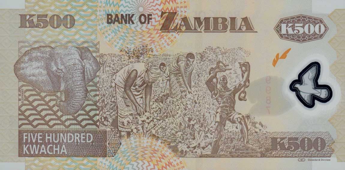 Back of Zambia p43h: 500 Kwacha from 2011