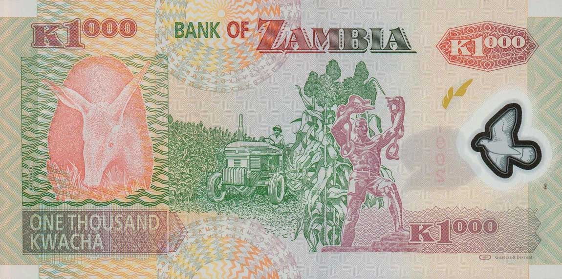 Back of Zambia p44i: 1000 Kwacha from 2012