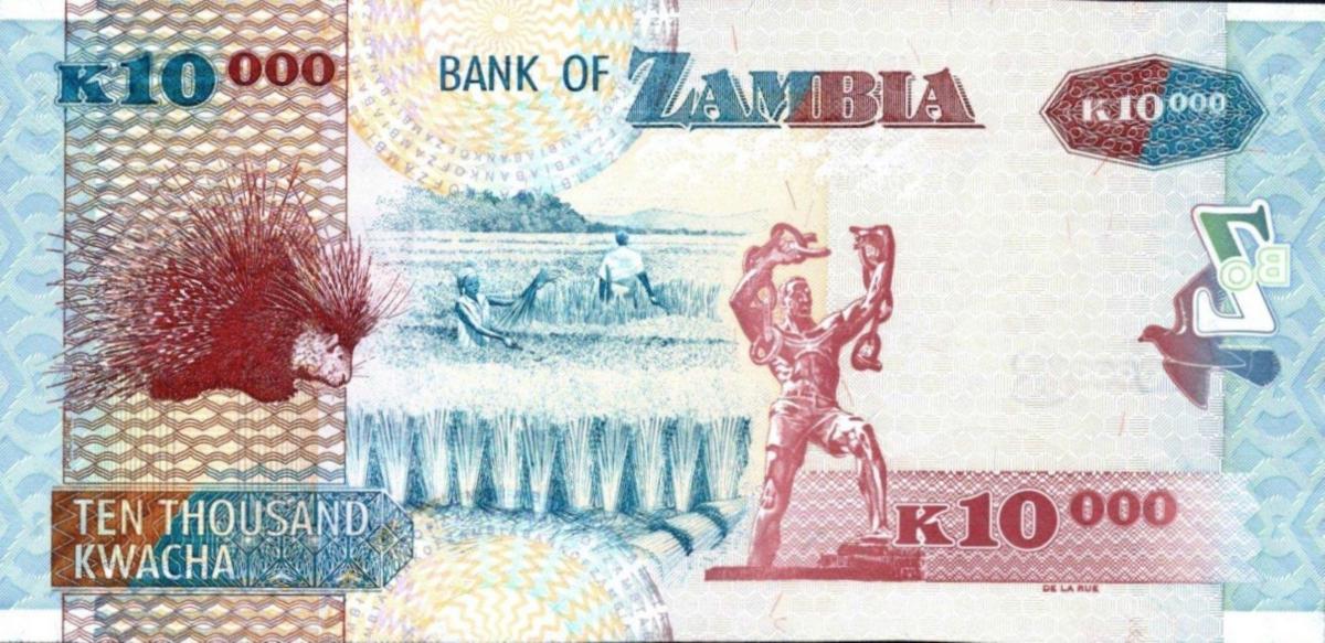 Back of Zambia p46b: 10000 Kwacha from 2005