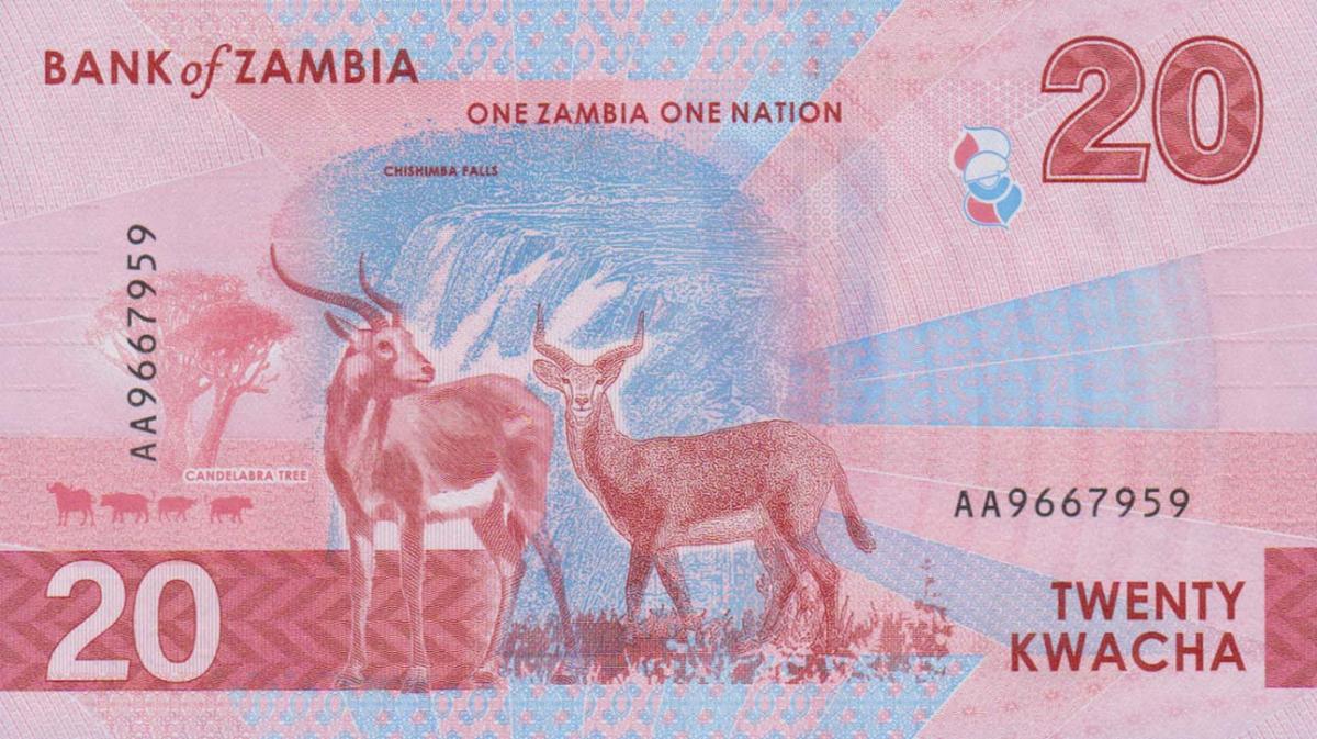 Back of Zambia p63: 20 Kwacha from 2024