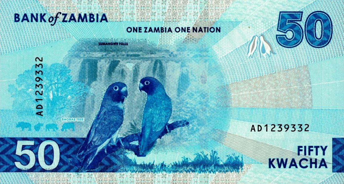 Back of Zambia p64: 50 Kwacha from 2024