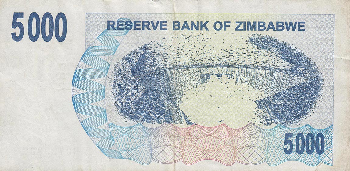 Back of Zimbabwe p45: 5000 Dollars from 2007