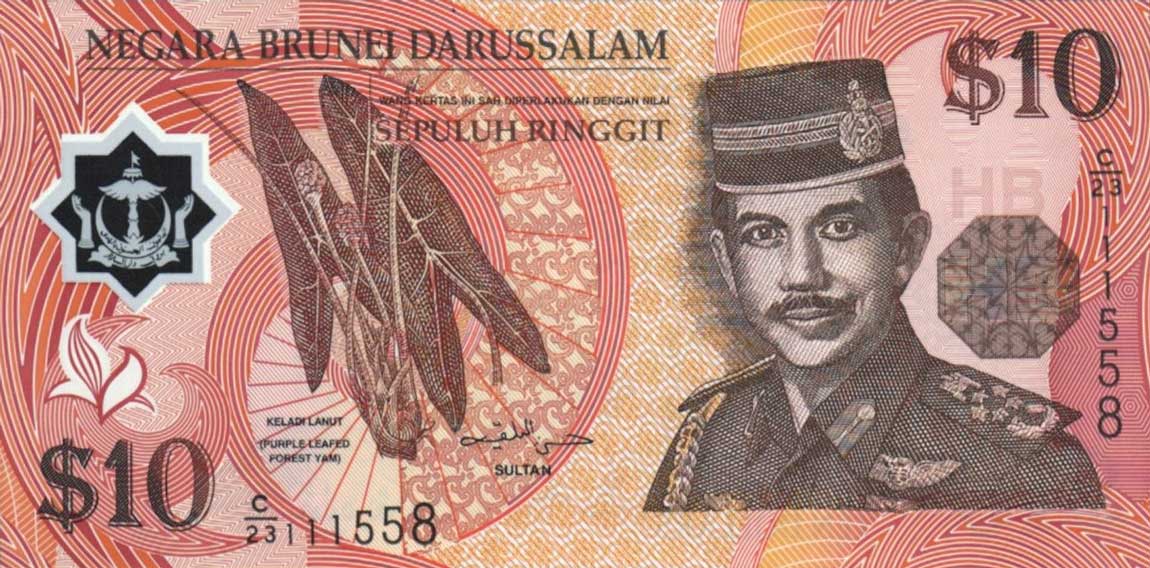 Front of Brunei p24c: 10 Ringgit from 2008