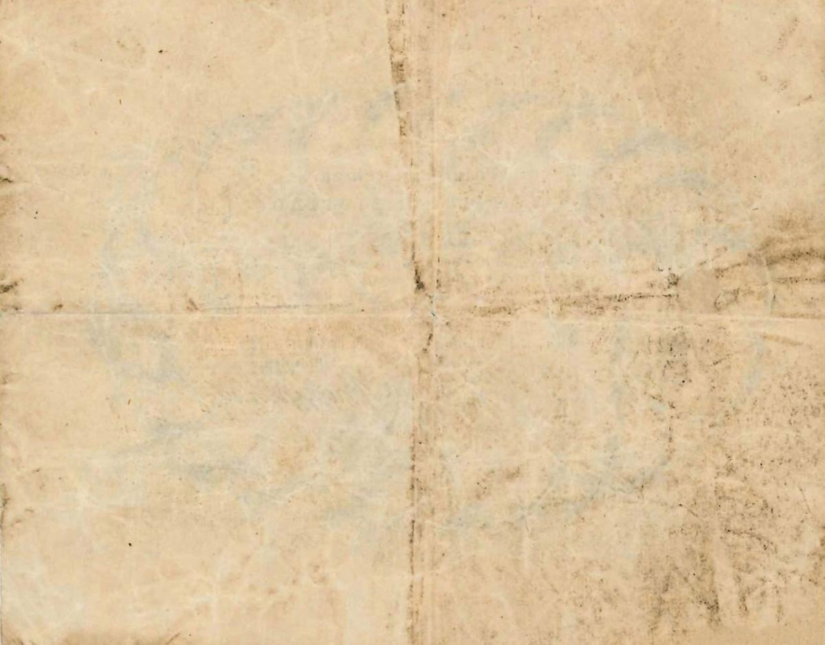 Back of Italian States pS213: 10 Fiorini from 1859