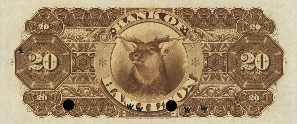 Back of Canada pS453: 20 Dollars from 1892