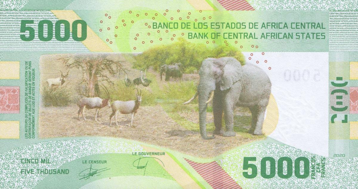Back of Central African States p703a: 5000 Francs from 2020