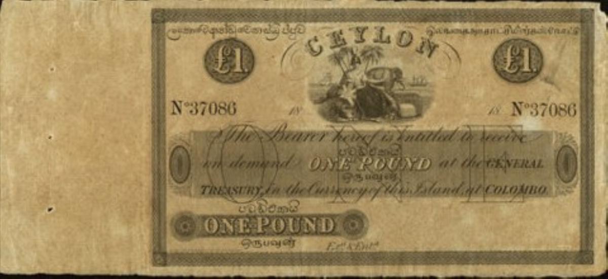 Front of Ceylon p3r: 1 Pound from 1896