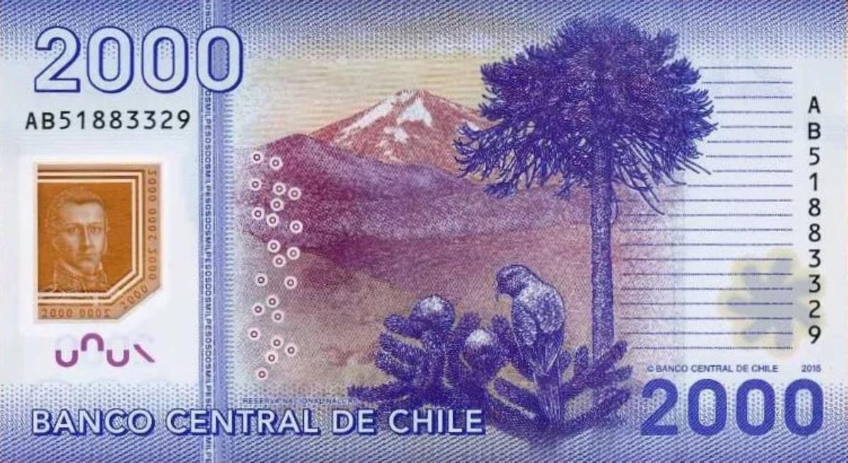 Back of Chile p162e: 2000 Pesos from 2015