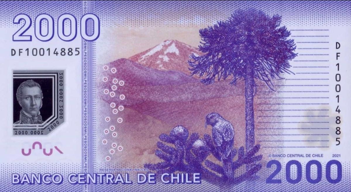 Back of Chile p162g: 2000 Pesos from 2021