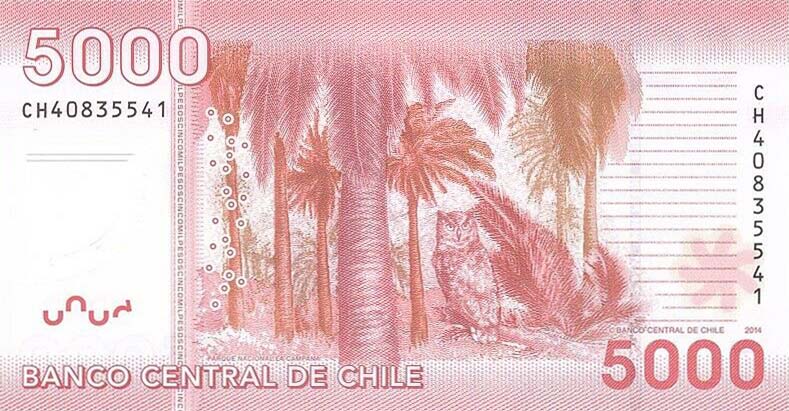 Back of Chile p163e: 5000 Pesos from 2014