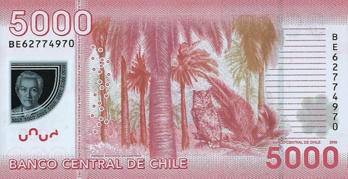 Back of Chile p163g: 5000 Pesos from 2016